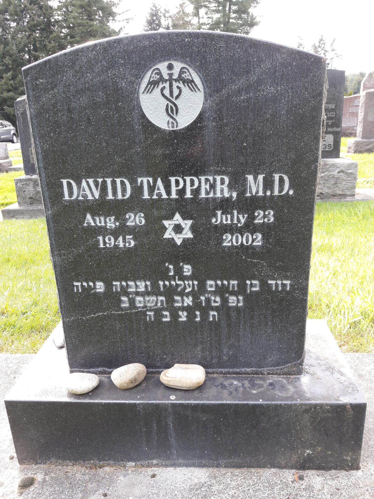 Tapper David – HNT